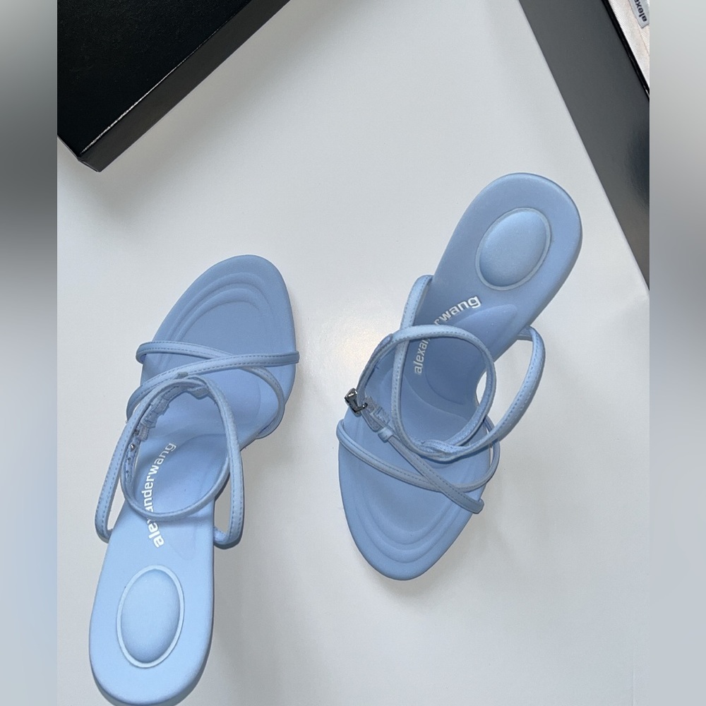 Alexander Wang Dahlia Blue 85